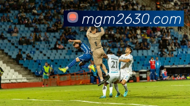 多媒体互动体验